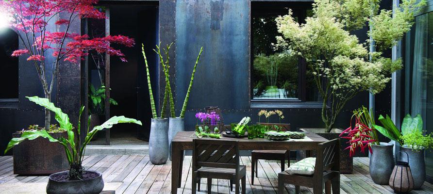 Vasi e piante di Sia Home Fashion arredano un terrazzo di citta'.